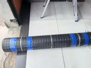 Geogrid Plastic Fence