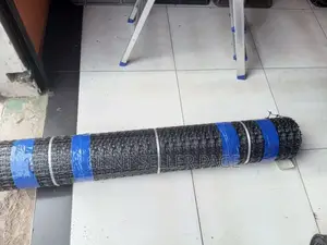 Geogrid Mesh