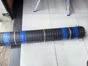 Geogrid Mesh