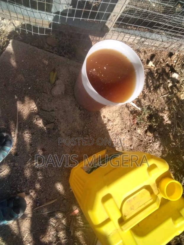 Pure Rabbit Urine - 100% Organic in 10 Litre Pack - main view