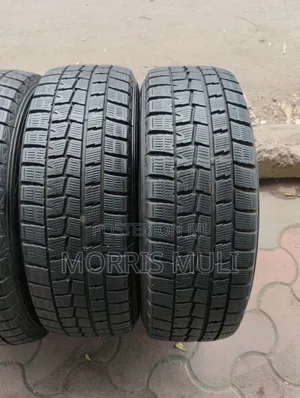 195/65r15 Dunlop