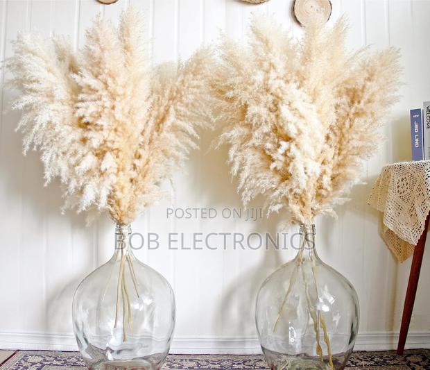 1.4m Long Natural Fluffy Pampas Grass - thumbnail 2