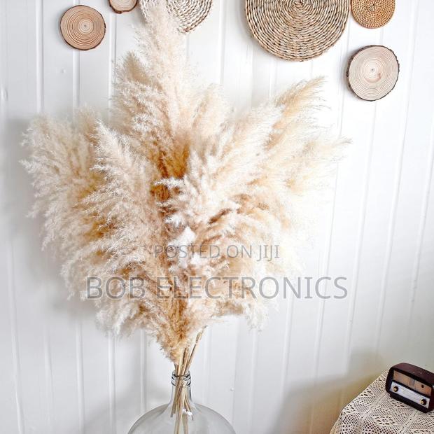 1.4m Long Natural Fluffy Pampas Grass - thumbnail 3