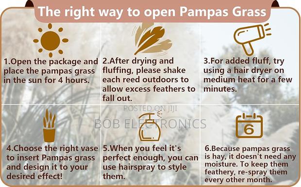 1.4m Long Natural Fluffy Pampas Grass - thumbnail 4