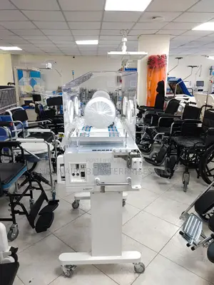 Infant Incubator: BIN-3000A (G)