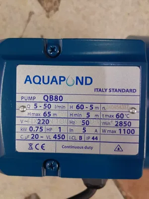 Agri-Faming Aquapond Water Pump 1 Hp Italy 65m Head