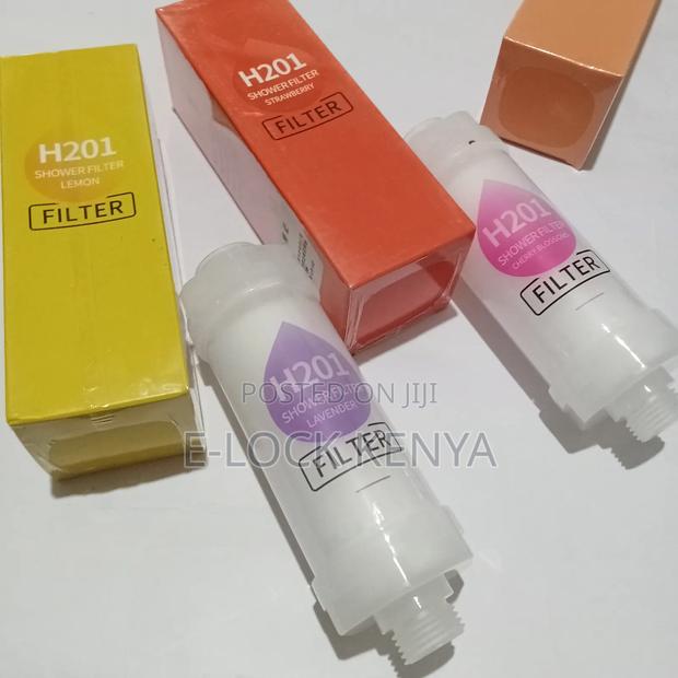 Efficient Scented Shower Filters - main view