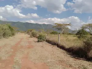 50*100 Plots for Sale in Ngong Kimuka