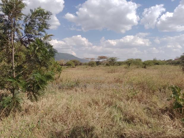 50*100 Plots for Sale in Ngong Kimuka - thumbnail 3