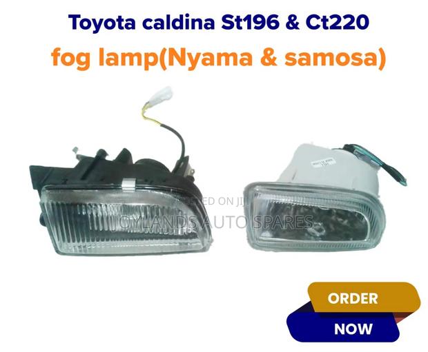Caldina Nyama and Samosa(St196 CT220)