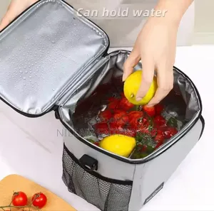 Insulated Lunch Bag