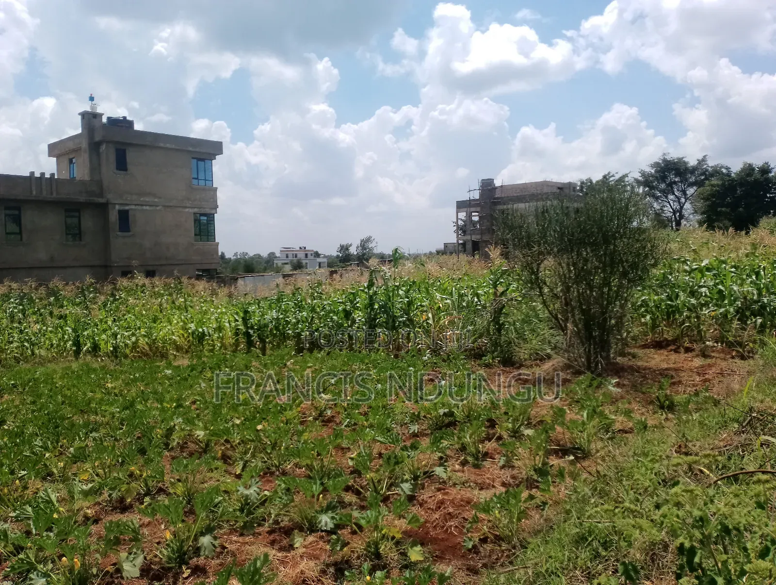 Residential Plot for Sale 5km From Kiambu Town