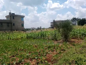 Residential Plot for Sale 5km From Kiambu Town