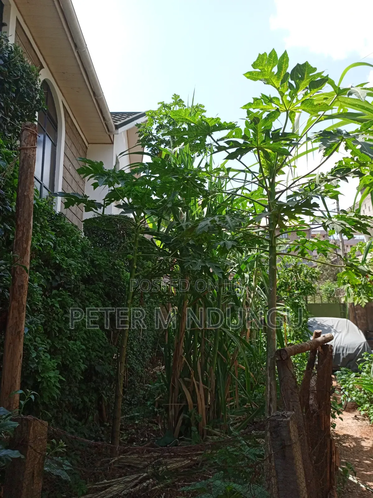 Prime Plot 0.0272 Hectares, Seasons,Kasarani