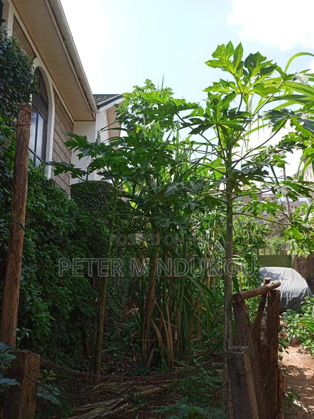 Prime Plot 0.0272 Hectares, Seasons,Kasarani - main view