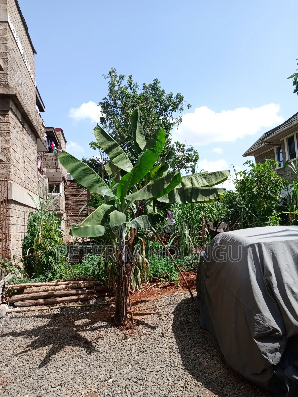 Prime Plot 0.0272 Hectares, Seasons,Kasarani
