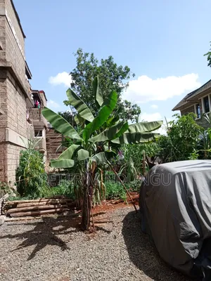 Prime Plot 0.0272 Hectares, Seasons,Kasarani
