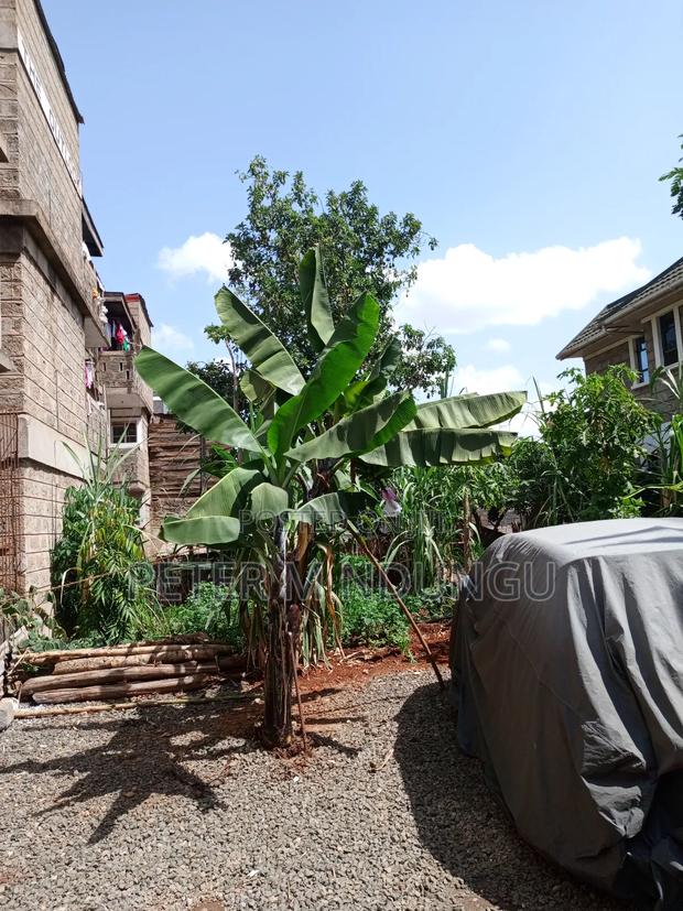 Prime Plot 0.0272 Hectares, Seasons,Kasarani - thumbnail 2