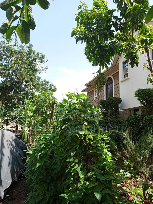 Prime Plot 0.0272 Hectares, Seasons,Kasarani - thumbnail 5