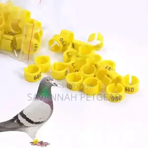 Birds Foot Rings Inner Diameter 8mm Plastic Clip Ring Pigeon