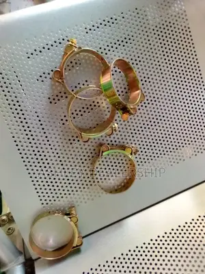 Hose Clips/ Clamps