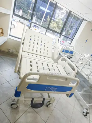 3 Functions Electric Bed