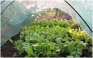 Frost-Resistant Nets - Shields Crops From Frost.