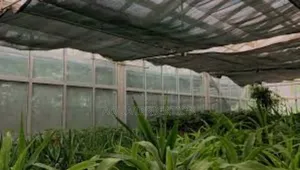 90% Shade Nets - Maximum Protection From Sunlight