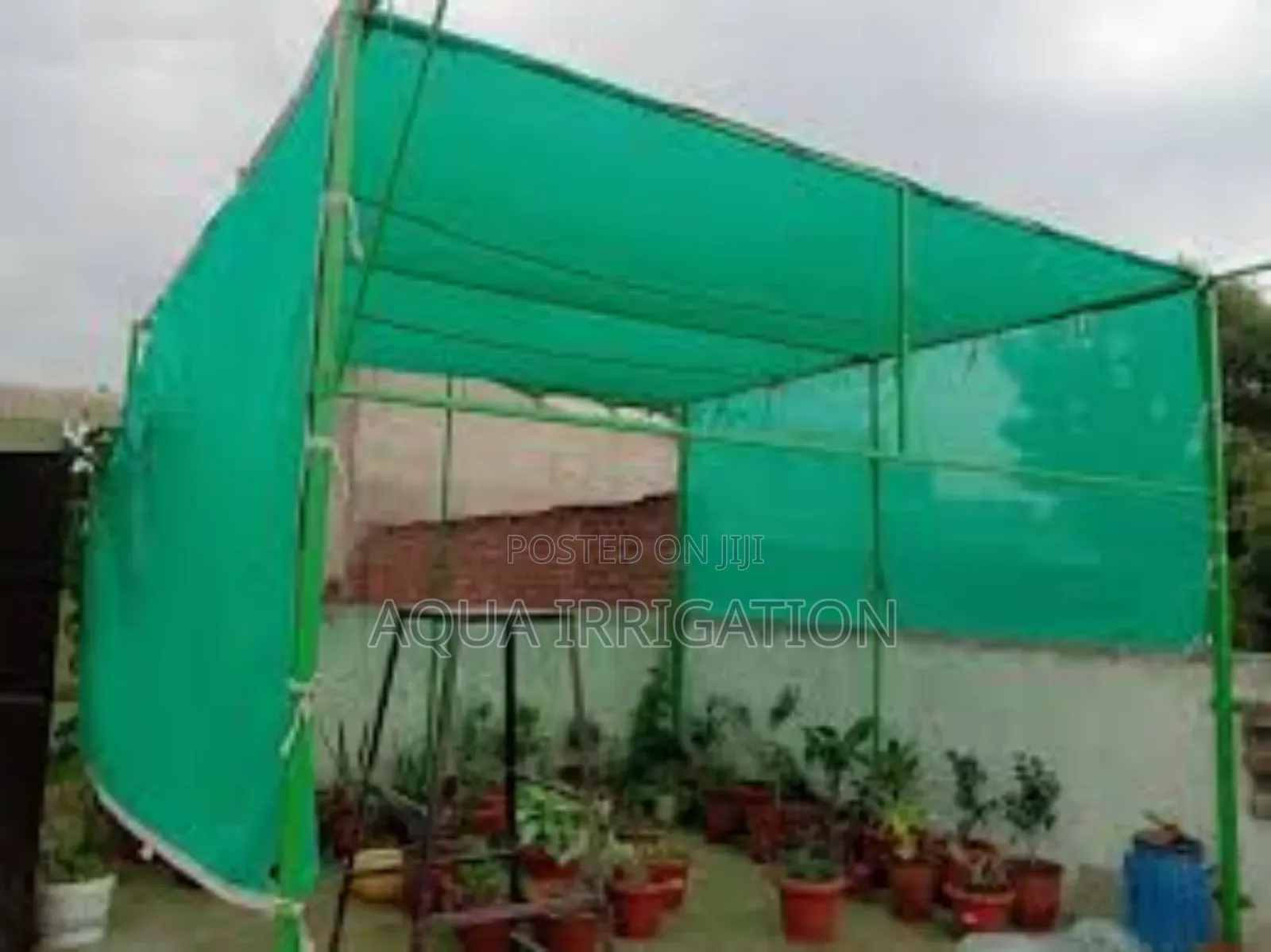 Fruit Protection Nets - Prevents Sun and Pest Damage