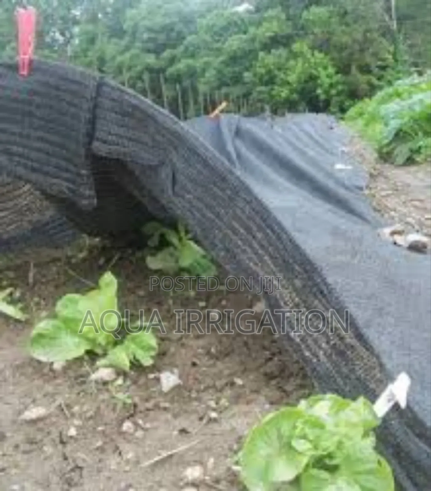Minimal Shading Nets - Designed for Hardy Plants