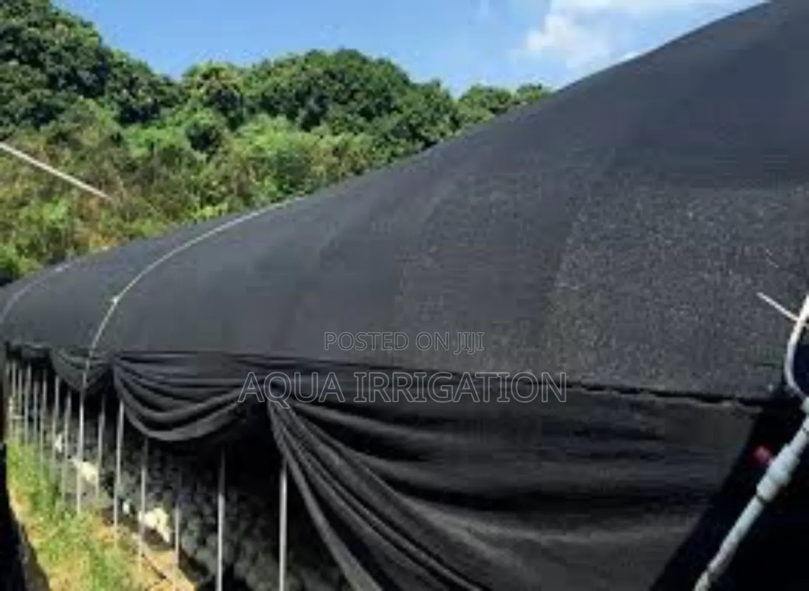Transparent Shade Nets - Provides Light While Reducing Glare