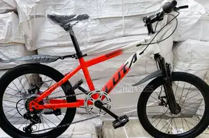 Luta Size 20 Mountain Bike With Gears