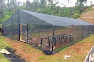 Seedling Shade Nets - Protects Vulnerable Seedlings