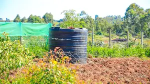 Prime Residential Plots for Sale in Kikuyu, Kamangu