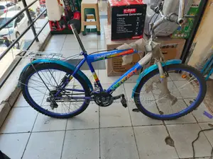 Victory Size 20 Bicycle With Gears