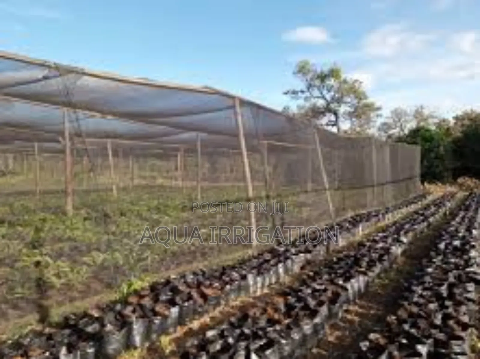 Color Reflective Nets - Enhances Crop Pigmentation