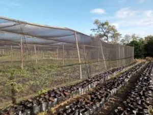 Color Reflective Nets - Enhances Crop Pigmentation