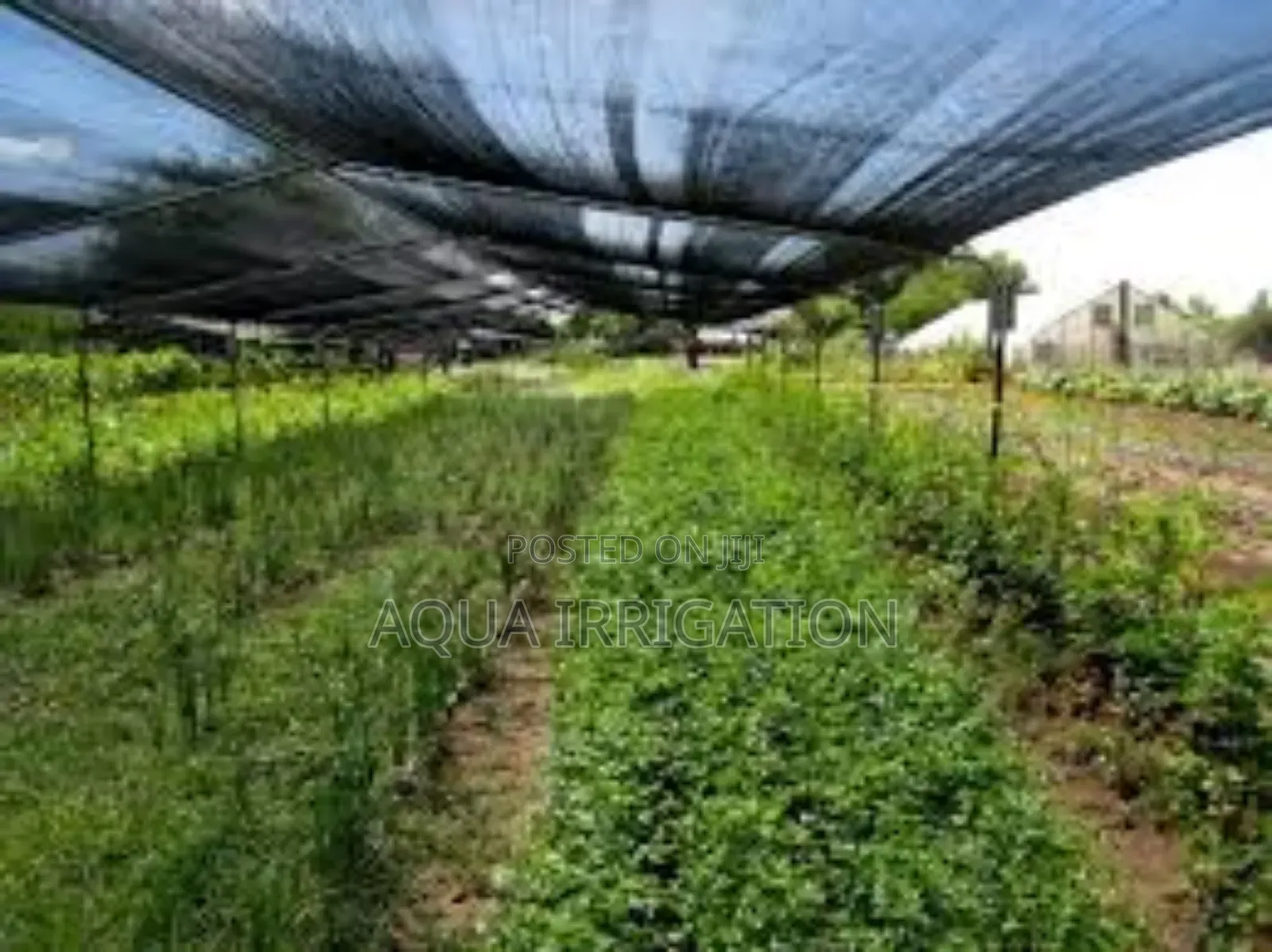 Protective Crop Covers - All-in-One Solution for Crops