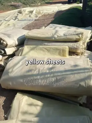 Greenhouse Polythene: Protects Plants, Regulates Temperature