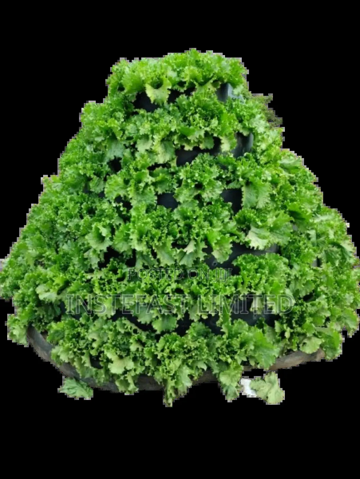 Vertical Conical Gardens