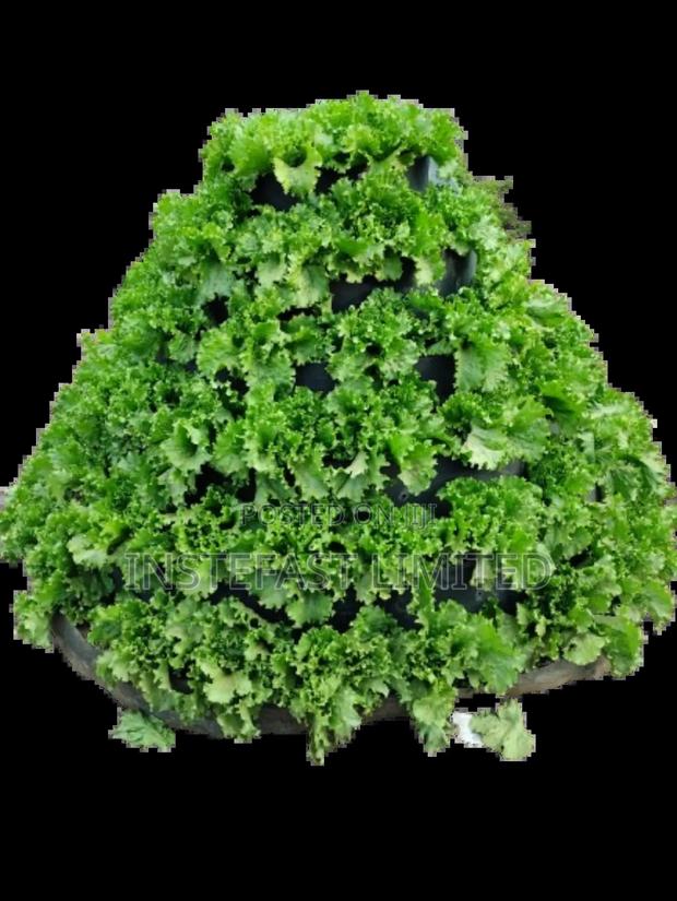 Vertical Conical Gardens - thumbnail 5