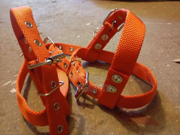 Red Climbers Strap