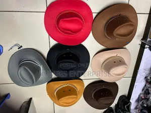Adult Size Unisex Cowboy Hats at KSH 600