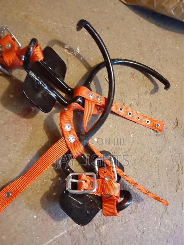 Tree Wooden Pole Climber - main view