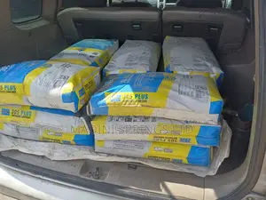 Silica-Sand Based Tile Adhesive Laticrete 305-Plus(25kgs)