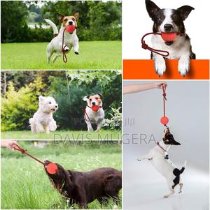 Pet Rubber Chew Toy Ball With Rope Interactive Training - thumbnail 2