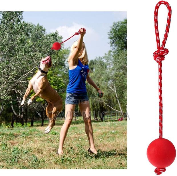Pet Rubber Chew Toy Ball With Rope Interactive Training - thumbnail 3