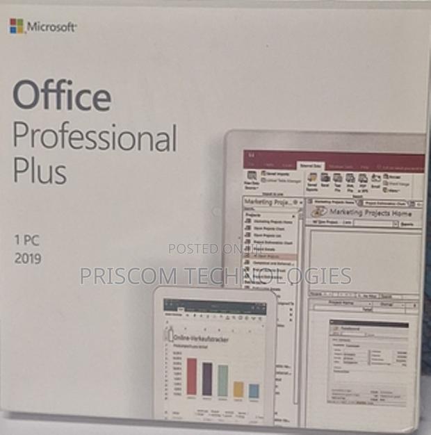 Microsoft Office Professional Plus 2019 - main view