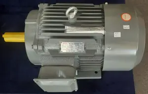 10hp STCL Electric Motor