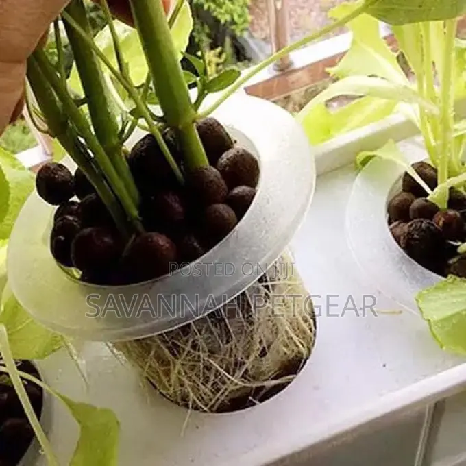 Hydroponic Mesh Pot Net Cup Aeroponic Planting Soilless -#70